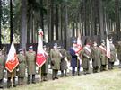 Borowice 2010 r. - Poczty sztandarowe organizacji kombatanckich regionu jeleniogórskiego.